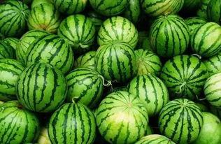 吃瓜必备群,网络社交新潮流