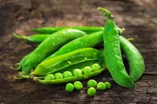 铁豆吃瓜,揭秘瓜果中的营养与美味