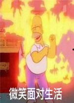 吃瓜疯狂记,揭秘娱乐圈幕后风云