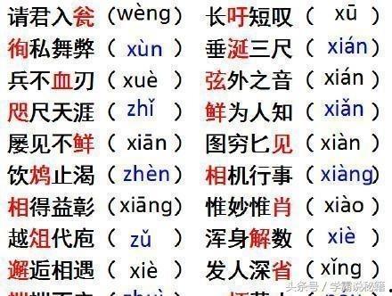 形容吃瓜的瓜楂的词语,品鉴夏日清凉美食的别样风情