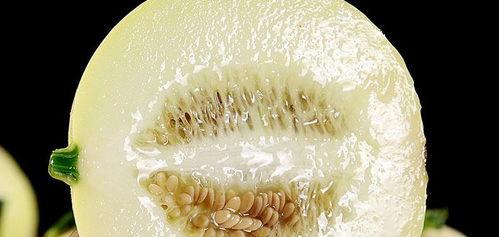 带你吃瓜盘点,娱乐圈最新热点事件大揭秘