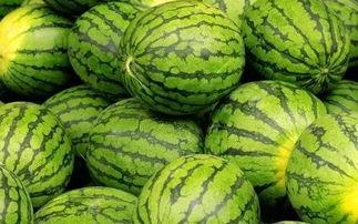 吃瓜的瓜都有什么,揭秘“吃瓜群众”背后的瓜文化内涵