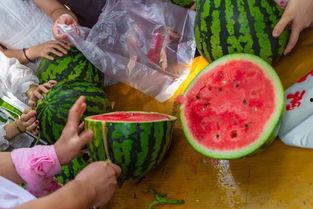 吃瓜医科,揭秘医学界的趣味故事与奇闻异事