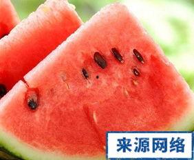 在哪能每天吃瓜,每日瓜果盛宴，尽在这美食天堂