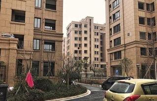 长沙房地产吃瓜,揭秘房地产市场的“吃瓜”现象